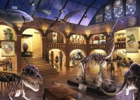 Puzzle - Exit Kids Im Naturkundemuseum (368 Teile)