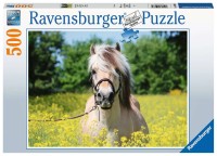 Puzzle Pferd im Rapsfeld (500 Teile)