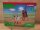 Schleich Farm World Team Roping mit Cowgirl