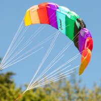 Dual Line Sport Kite 1.6
