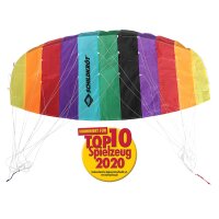 Dual Line Sport Kite 1.3
