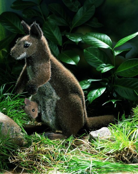 Känguru mit Kind, braun, 36cm