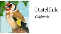 Adventskalender Unsere Vögel im Winter