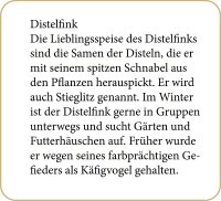 Adventskalender Unsere Vögel im Winter