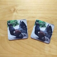 Memo Wildtiere und ihre Stimmen