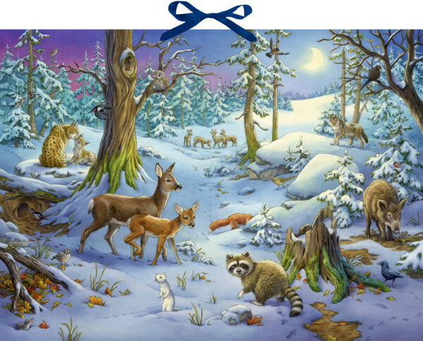 Sound-Adventskalender  Hört ihr die Tiere im Winterwald