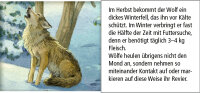 Sound-Adventskalender  Hört ihr die Tiere im Winterwald