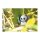 3D Bastelset Panda