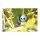 3D Bastelset Panda