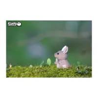 3D Bastelset Känguru