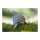 3D Bastelset Delfin