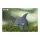 3D Bastelset Delfin