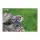 3D Bastelset Wolf