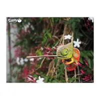 3D Bastelset Chamäleon