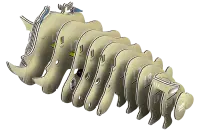 3D Bastelset Nashorn