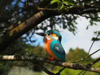 3D Bastelset Eisvogel