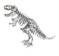 3D Puzzle Buch Dinosaurier