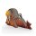 3D Bastelset Walross