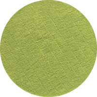 Eulenspiegel - Profi-Aqua, Perlglanz Hexengrün 20ml