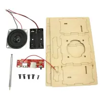 Holzbausatz Bluetooth-Lautsprecher mit FM Radio