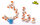 Toucan Tower® Stacking Fun aus Buchenholz