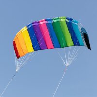 Dual Line Sport Kite 2.0
