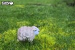 3D Bastelset Schaf