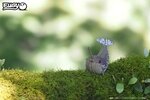 3D Bastelset Narwal