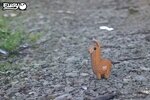 3D Bastelset Lama