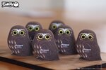 3D Bastelset Kuckuckskauz