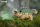 3D Bastelset Ankylosaurus