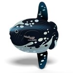 3D Bastelset Mondfisch