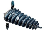 3D Bastelset Mondfisch