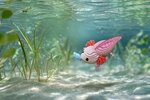 3D Bastelset Axolotl
