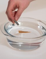 Der Kleine Magnetkasten-Experimentierkasten