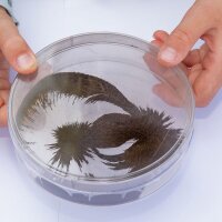 Magnetspiele - Natur und Technik für 4-8 jährige