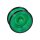 Yo-Yo Lizard
